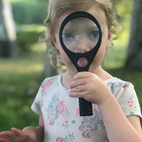 porchpirate